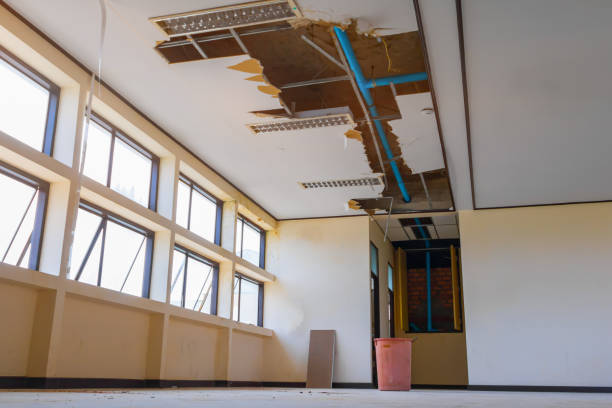 Best Water damage cleanup near me  in Bayonne, NJ