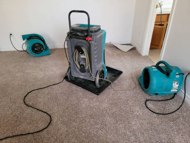 Best Flood restoration services  in Bayonne, NJ