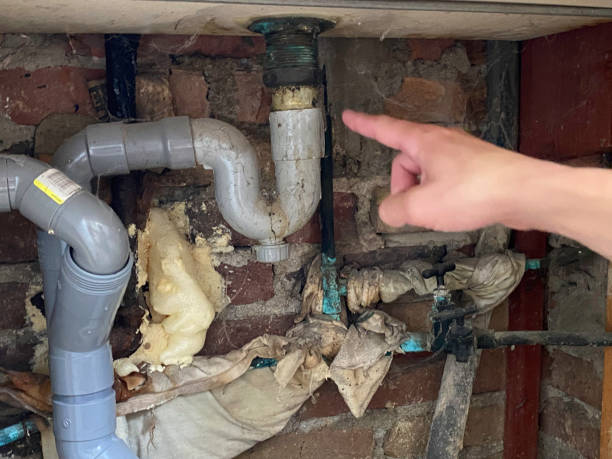 Best Local water damage restoration  in Bayonne, NJ