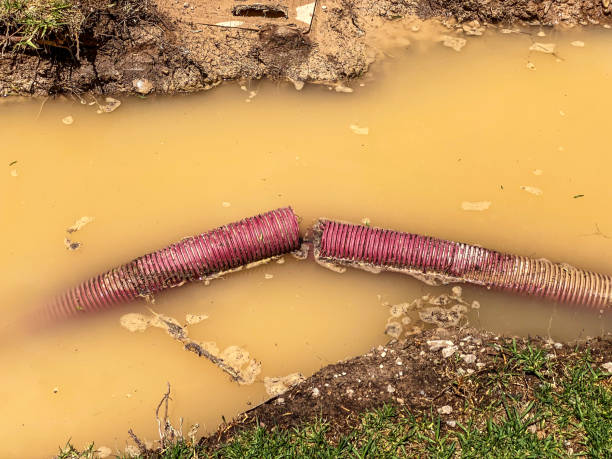 Best Carpet water damage restoration  in Bayonne, NJ