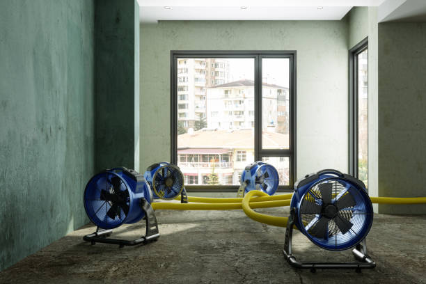 Best 24/7 water damage repair  in Bayonne, NJ