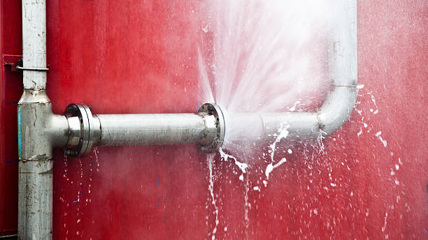 Best Mold removal after water damage  in Bayonne, NJ